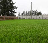 artificial grass-cork lawn