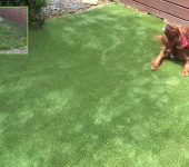 artificial grass for dogs- PST Lawns
