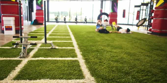 artificial grass for gyms