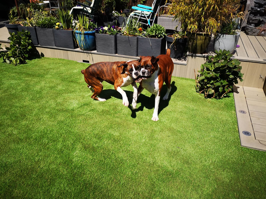 synthetic turf for pets