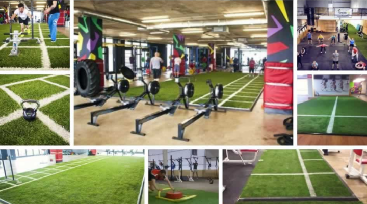 Gyms & Training Areas