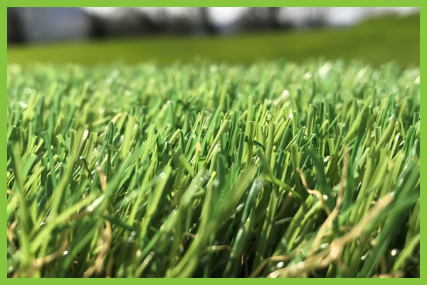 35mm artificial grass for landscapers and garden centres at trade prices 
