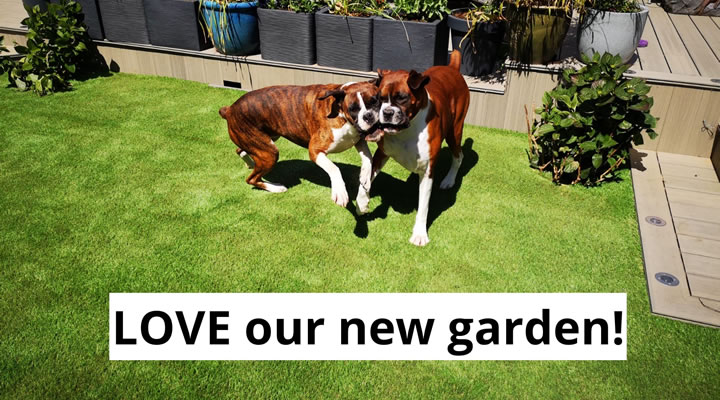 Pets Love Our Artificial Grass Too!