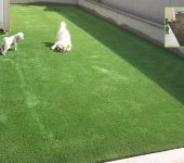 artificial grass for pets- PST Lawns