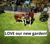 Artificial turf garden in Dublin